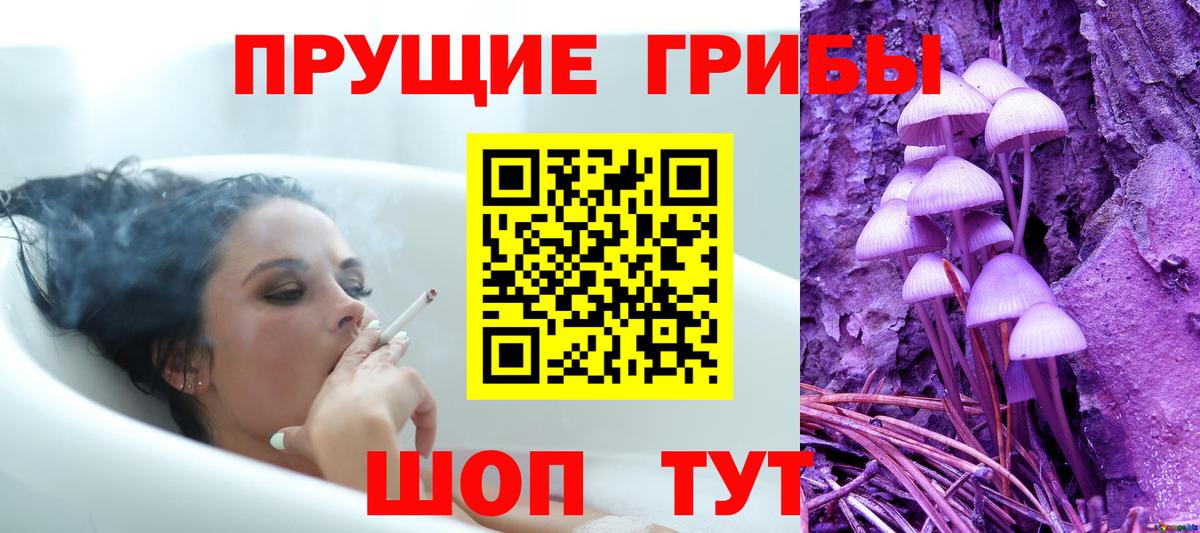 Псилоцибиновые грибы GOLDEN TEACHER  Вход с VPN  Псилоцибиновые грибы Psilocybe  Луга 